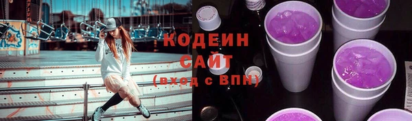 индика Нягань