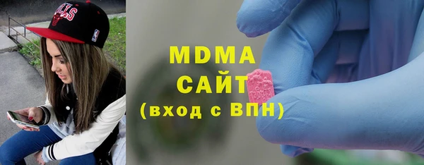 индика Нягань