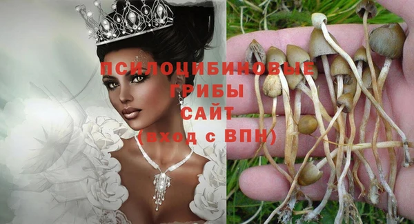 кокаин премиум Алексеевка