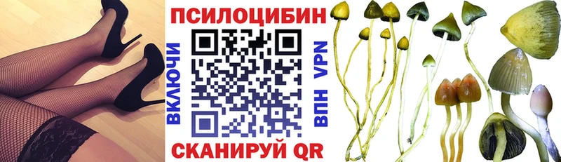Псилоцибиновые грибы ЛСД Чебаркуль
